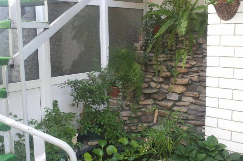 Уютный дворик на Толстого