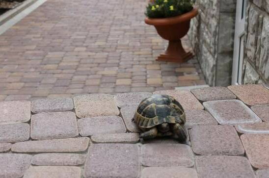 Гостевой дом «Не горюй»