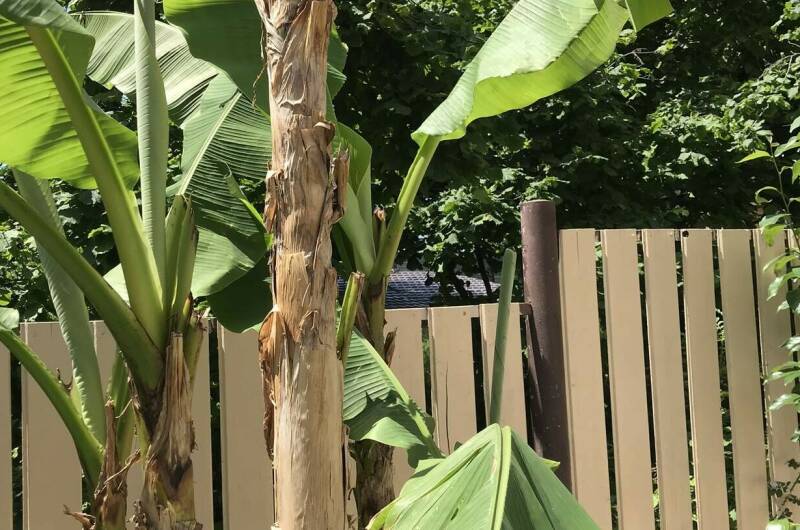 Гостевой дом «На Заречной 2 Б»