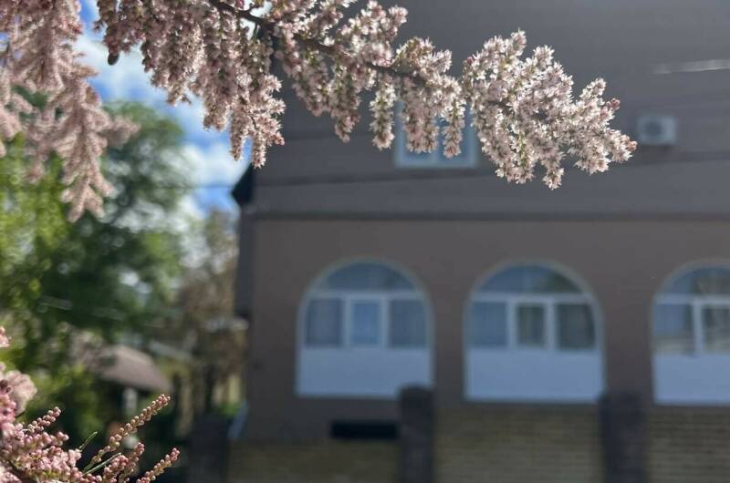 Частный дом «Пальма»