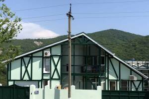 Изображение Зеленый дом с бассейном #1