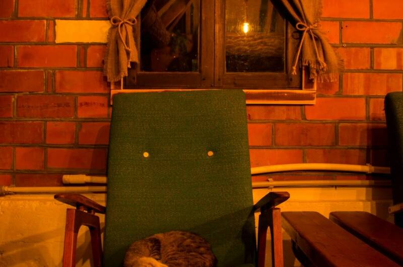 Гостевой дом «Каштан»