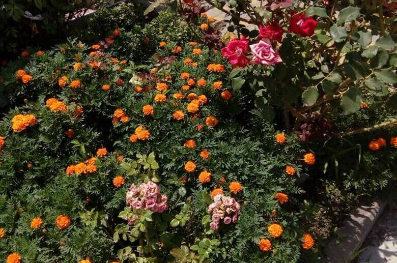 Частный сектор «Людмила» на Тонком мысе