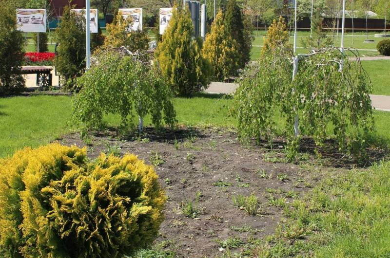 Частный сектор «Людмила» на Тонком мысе