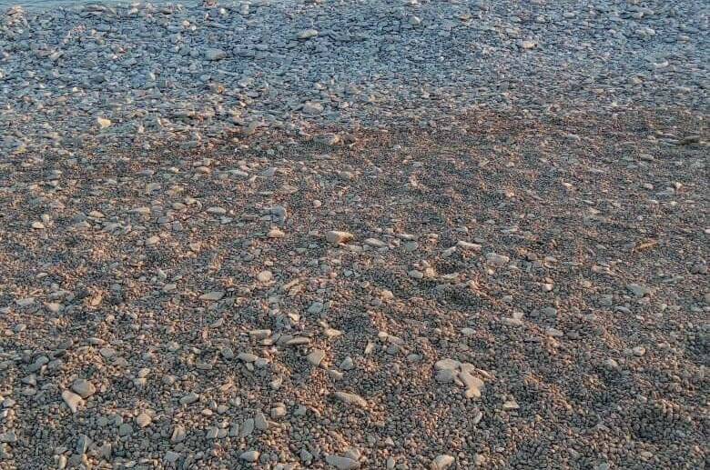 Частный сектор «Людмила» на Тонком мысе