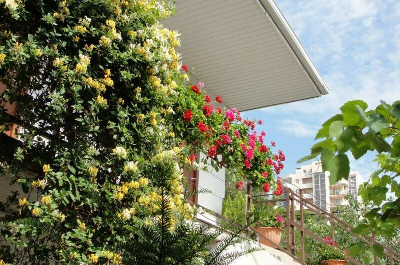 Гостевой дом «Аир»