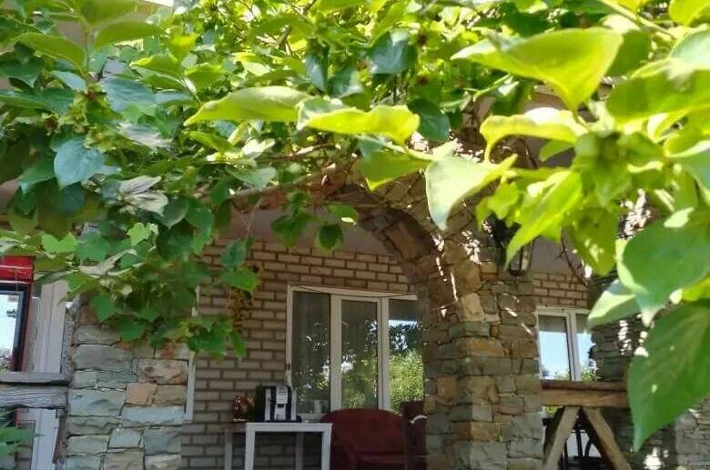 Гостевой дом «Ботаника»