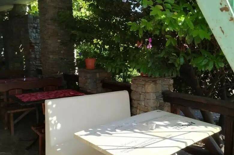 Гостевой дом «Ботаника»