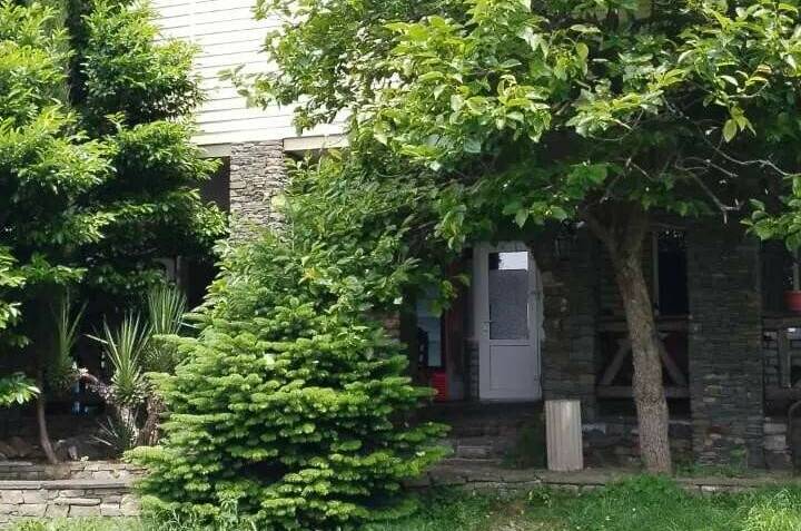 Гостевой дом «Ботаника»