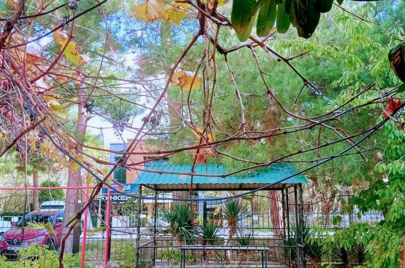 Гостевой дом «Виктория»