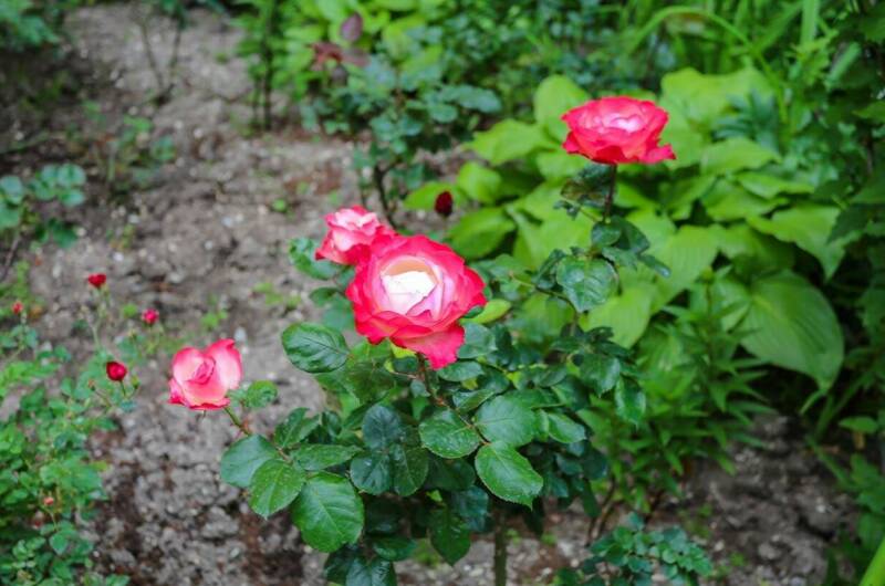 Гостевой дом «Натали»