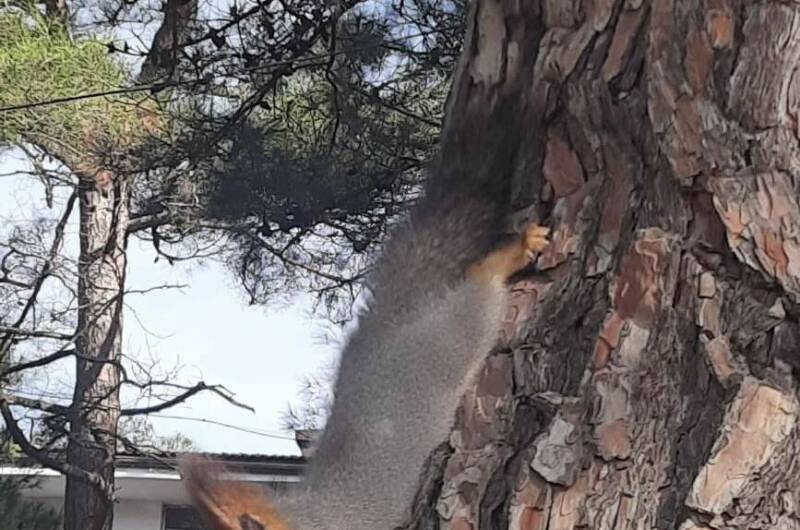 Гостевой дом «Семья»
