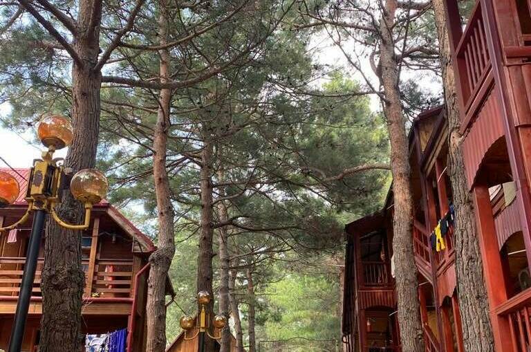 Гостевой дом «Сосновый бор»