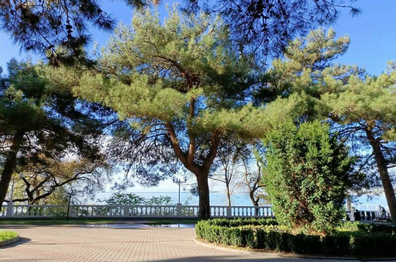 Гостевой дом «Тургенев»