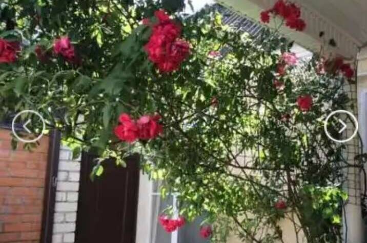 Гостевой дом на Степной 11