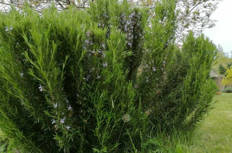 Дача у моря с выходом на дикий пляж