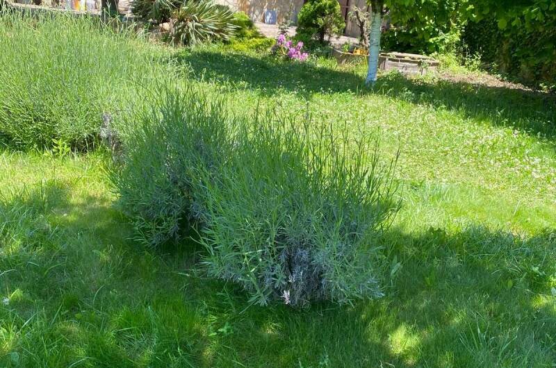 Дача у моря с выходом на дикий пляж