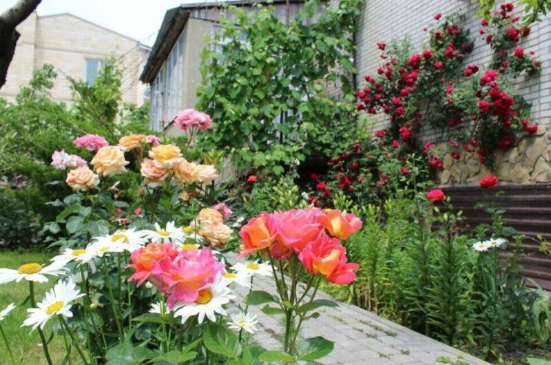 Гостевой дом «Незабудка»