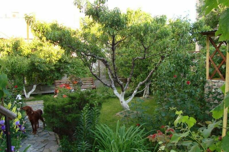 Гостевой дом «Незабудка»