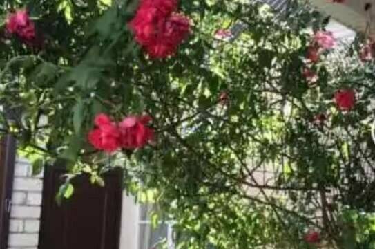 Гостевой дом на Степной 11