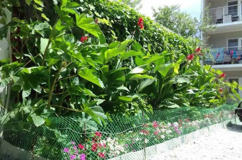 Гостевой дом «Бумеранг»