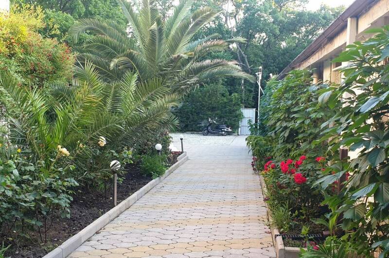 Отдых «У Дяди Васи»