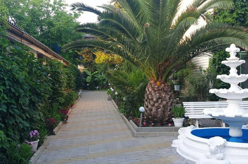 Отдых «У Дяди Васи»