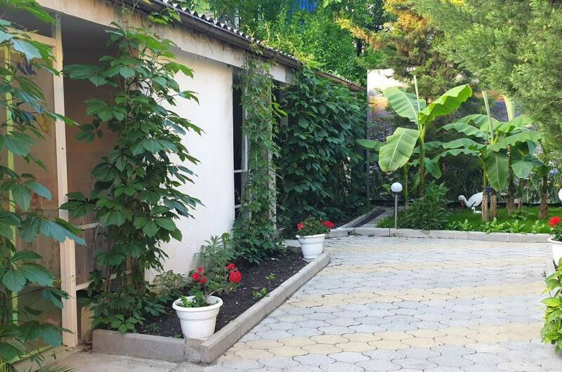 Отдых «У Дяди Васи»