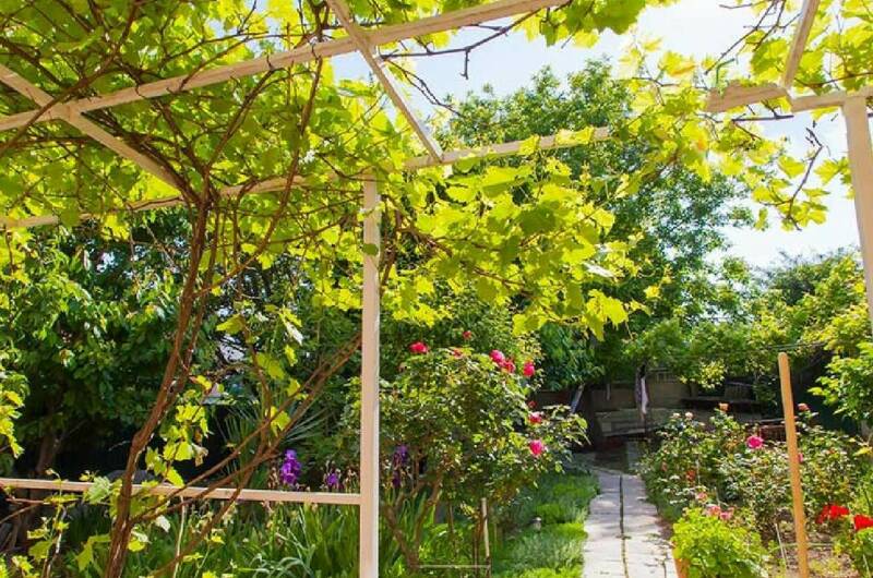 Гостевой дом «Бетта»