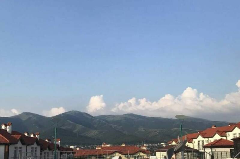 Гостевой дом «Кедровая роща»