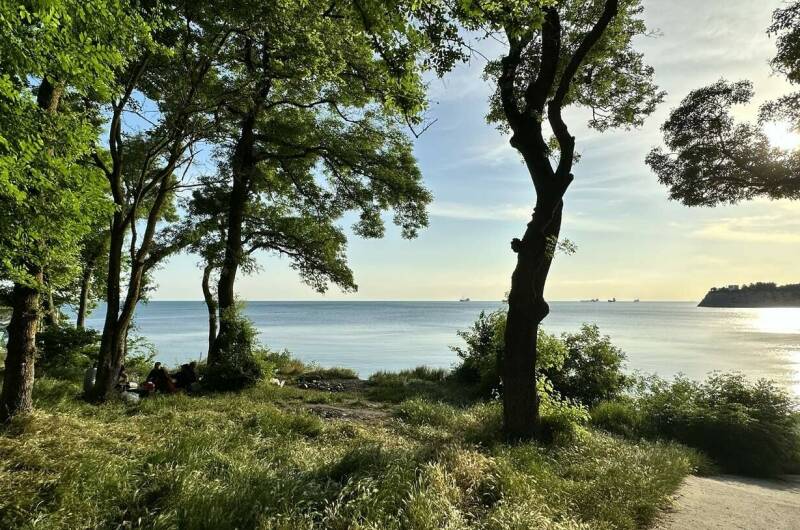 Частный дом «Villa Vega»