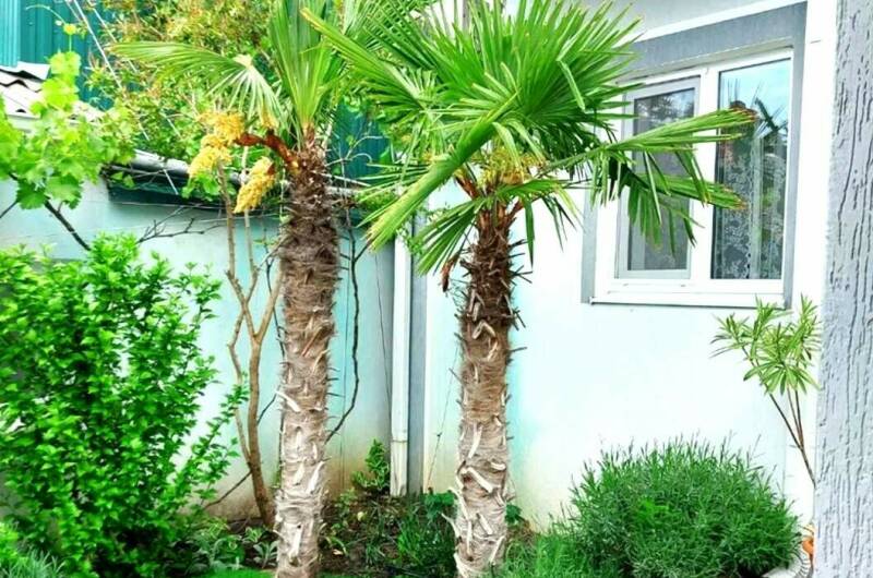 Гостевой дом «На Ленина»