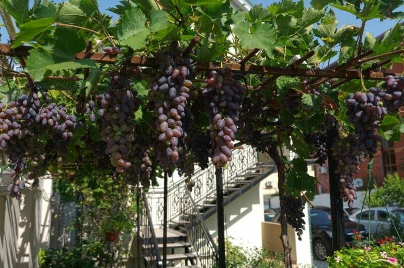 Гостевой дом «Виктория Плюс ЕР»