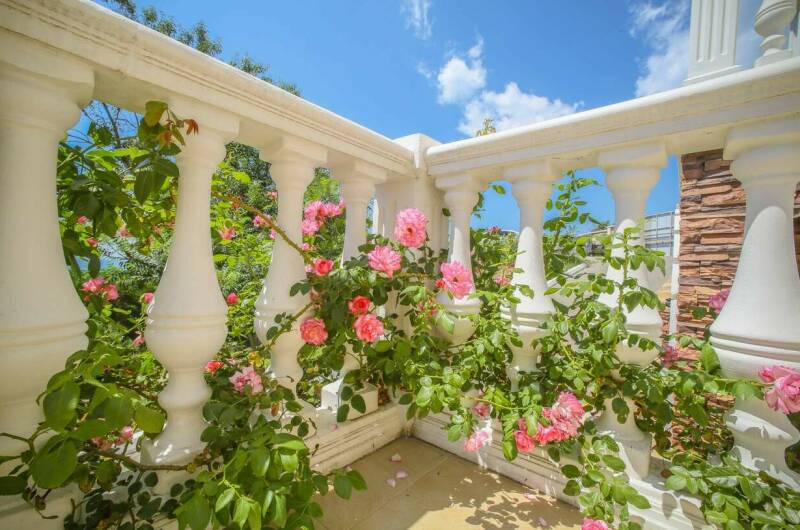 Отель «Морской клуб»